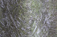 Woodnewton fibreglass roof work